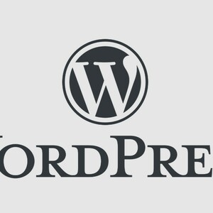 Cara Mudah Upgrade WordPress di 2024 dengan Tips Berikut Ini