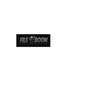 Fileboom premium reseller