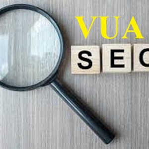 Dá»‹ch vá»¥ SEO VuaSeo