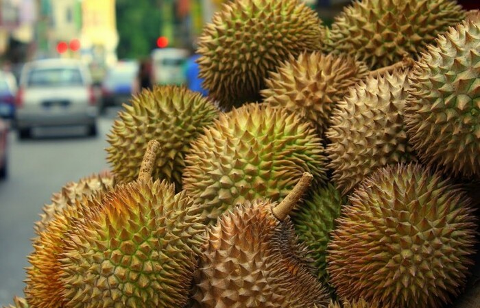 2 Tips Asyik Memilih Buah Durian yang Bagus