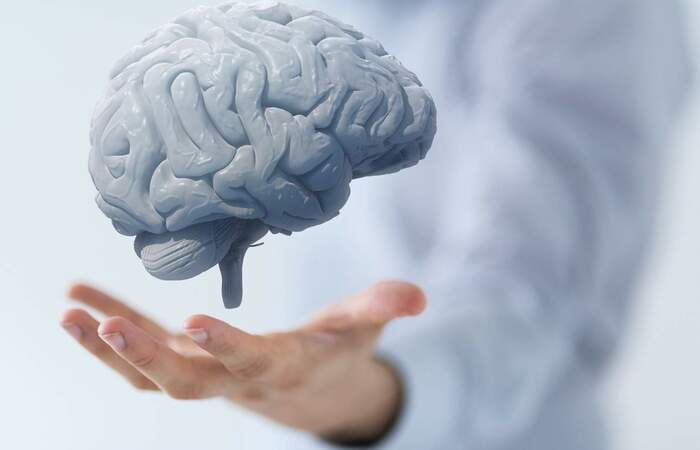 Ini 7 Hal untuk Meningkatkan Kecerdasan Otak!
