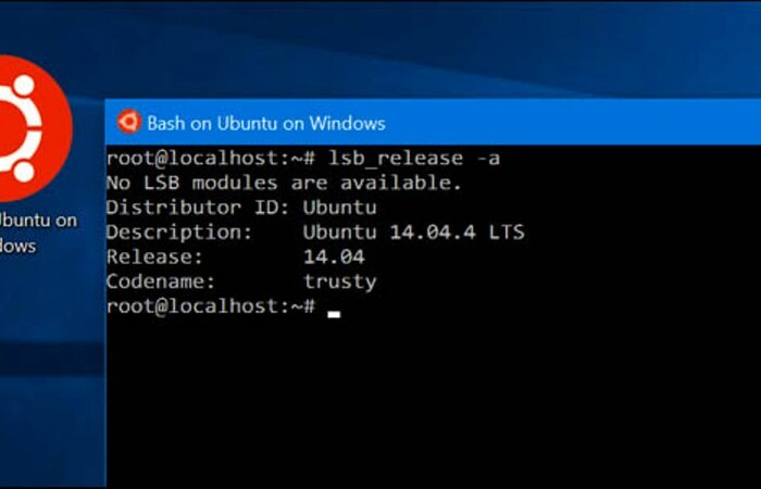 Mau Instal Software Ubuntu di Windows 10 Langsung Tanpa Mesin Virtual? Begini Caranya