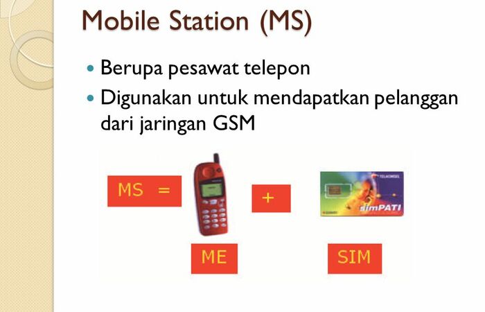 Mobile Station (MS)