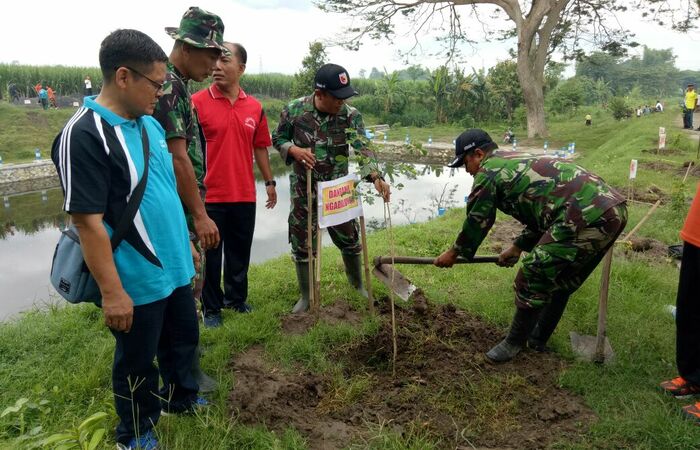 Hijaukan Alam Lewat Gerakan Penghijauan Gabungan