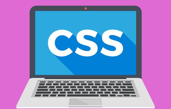 Buat Tampilan Website Kamu Menarik Dengan CSS