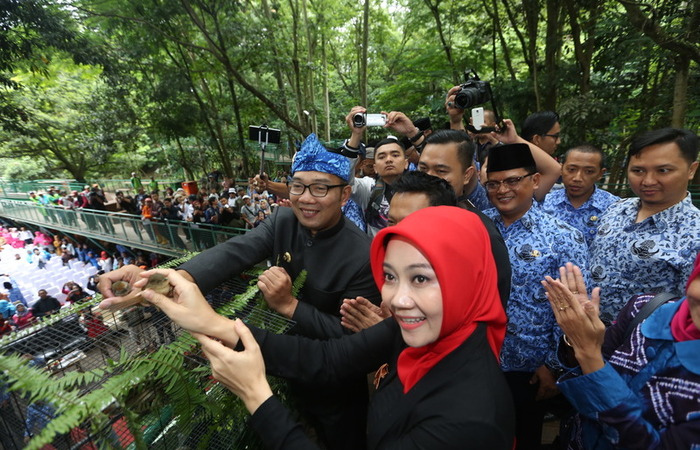 Kota Bandung Kini Miliki Forest Walk Terpanjang Se-Asia Tenggara