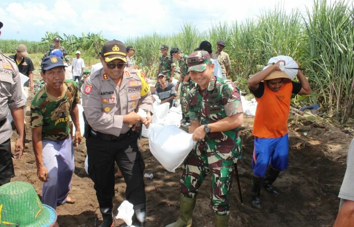 Tanggul Jebol di Kediri Rusak 6 Hektar Tanaman Tebu