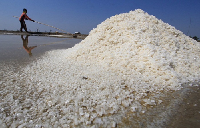 Bijak Menyikapi Kasus Impor Garam di Indonesia