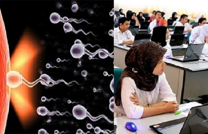 CPNS dan Pembuahan Sel Sperma
