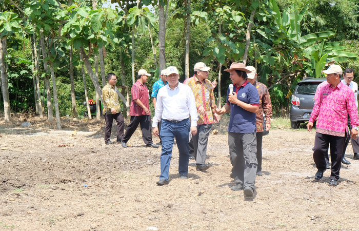 Anggota DPR RI Komisi XI Donny Imam Priambodo Paparkan Fungsi Pepohonan di Hari Pohon Sedunia