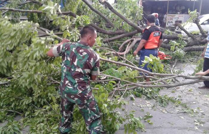 Bersama TRC BPBD, Relawan &amp; Warga Babinsa Evakuasi Pohon Tumbang