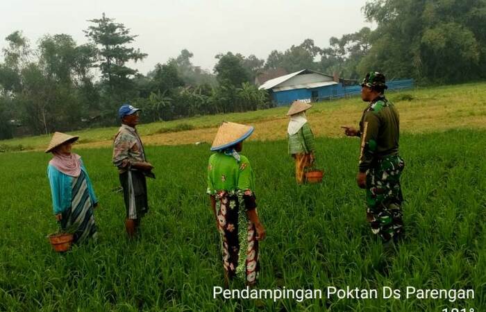 Begini Cara Babinsa Koramil 0815/07 Jetis Lakukan Pendampingan