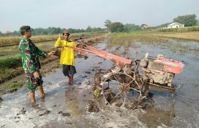 Maksimalkan Luas Tambah Tanam Koramil 0815/04 Puri Dampingi Petani