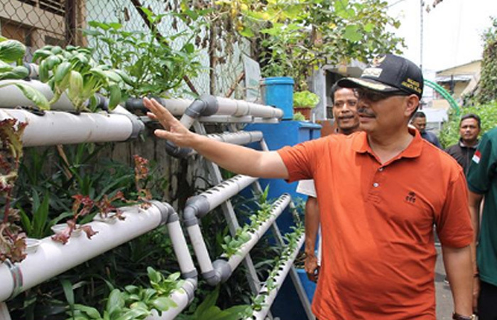Walikota Jaksel Marullah Matali Promosikan Pertanian 4.0