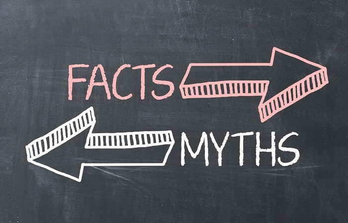 Mitos dan Fakta tentang SEO yang Perlu Anda Ketahui