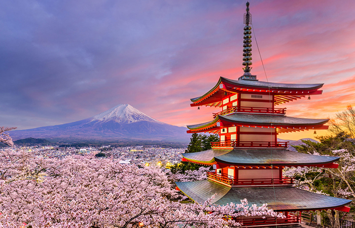 Here are 11 Top Tips for First Time Visitors Planning to Go to Japan