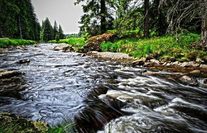 Menyusuri Beberapa Sungai yang Mengalir di Papua 