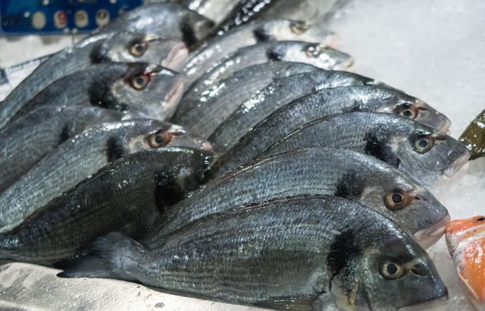 Rutin Mengkonsumsi Ikan Tongkol, Bagus untuk Menjaga Kesehatan Tubuh 