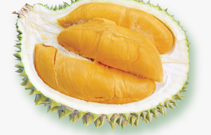 Kesehatan Tubuh bisa Ditingkatkan dengan Rutin Makan Buah Durian Segar