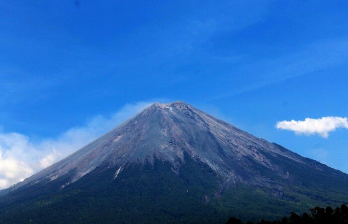 Mau Mendaki Gunung Semeru? Pendaki Pemula Wajib Baca Ini!