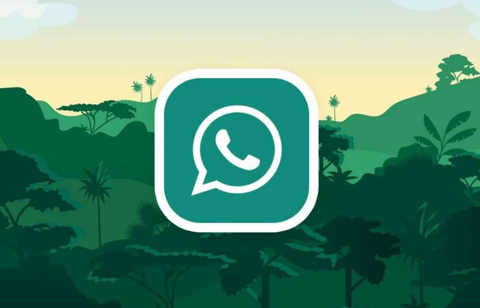Cara Update WhatsApp untuk Menikmati Fitur Terbaru 