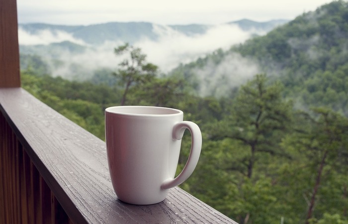 Kopi Gunung Wilis Paling Kesohor Di Nusantara Hingga Eropa dengan Cita Rasa Tajam 