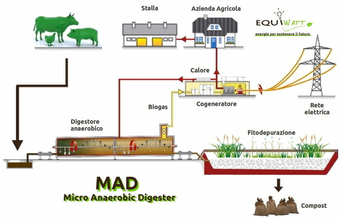 Bagaimana Cara Mengolah Limbah Kotoran Ternak Menjadi Biogas 