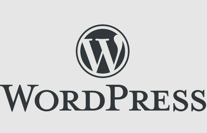 Cara Mudah Upgrade WordPress di 2024 dengan Tips Berikut Ini