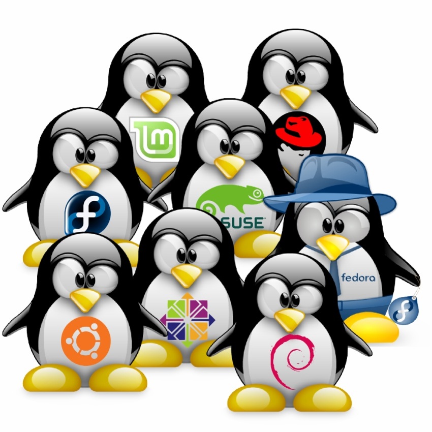 Cara Instal Linux di Komputer Windows - Article - Plimbi Social