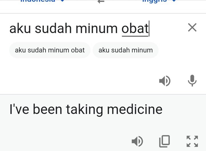 Mengapa Hasil Terjemahan Google Translate Sering Tidak Sesuai?
